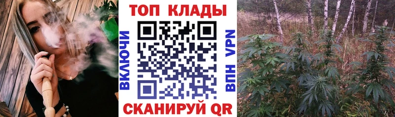 Альфа ПВП Димитровград