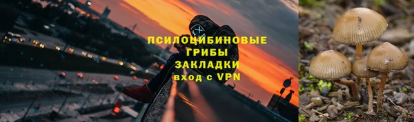 сатива Нефтекумск