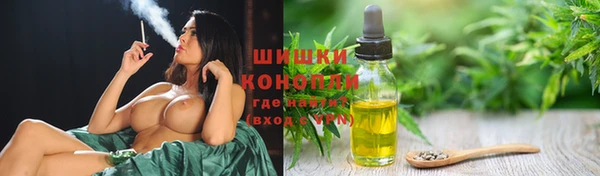 сатива Нефтекумск