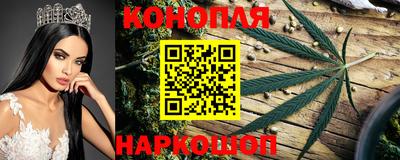 метамфетамин Гатчина