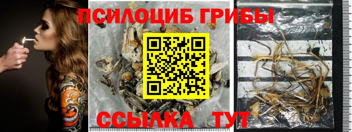 Галлюциногенные грибы мицелий Димитровград