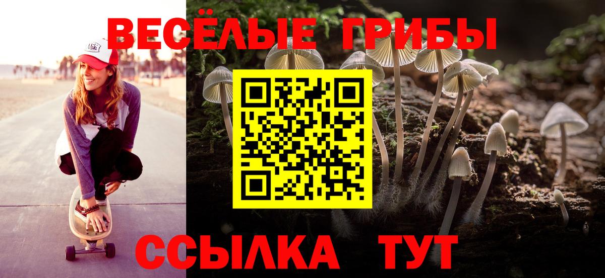 Псилоцибиновые грибы Magic Shrooms Димитровград