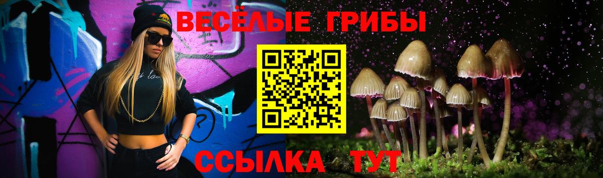 Димитровград  Псилоцибиновые грибы Psilocybe  Вход с VPN 