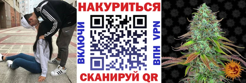 Канабис ГИДРОПОН  купить наркоту  Димитровград 